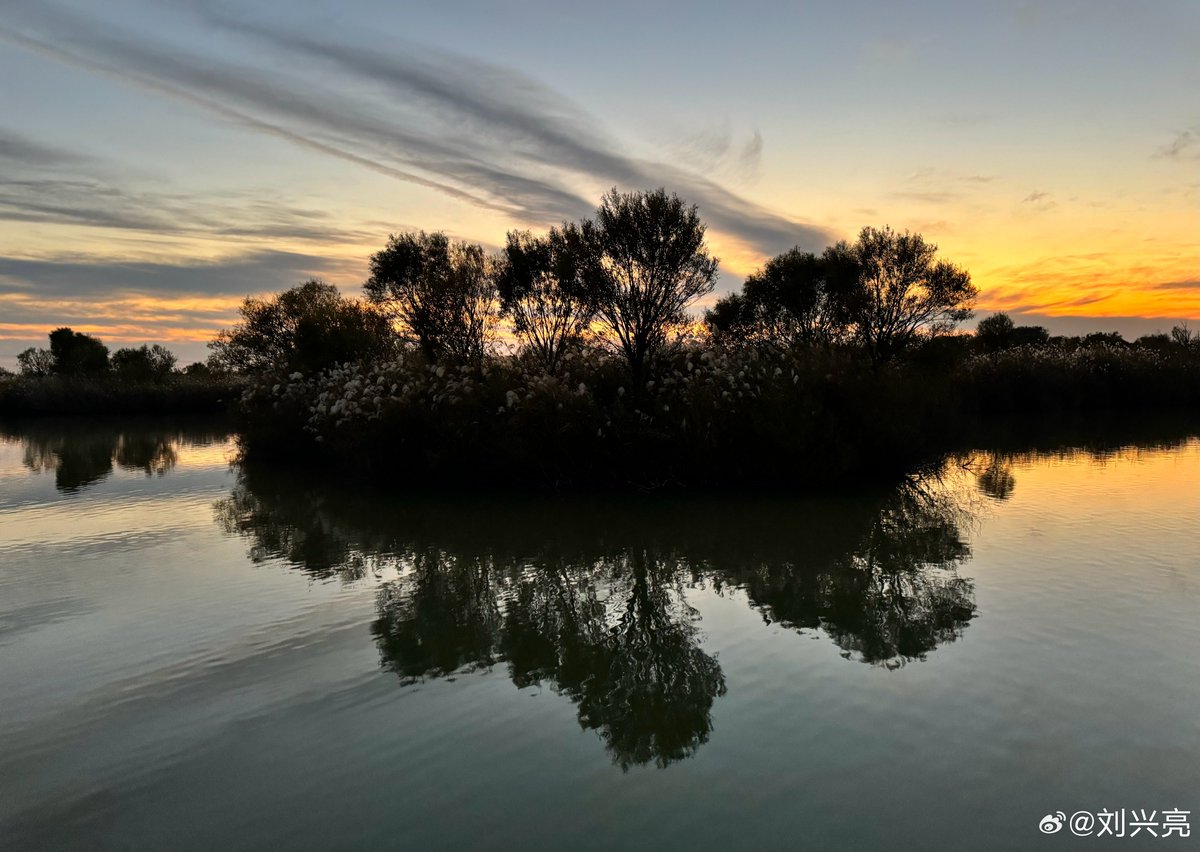 「𝐷𝐴𝑅𝐼𝐿」 tweet media