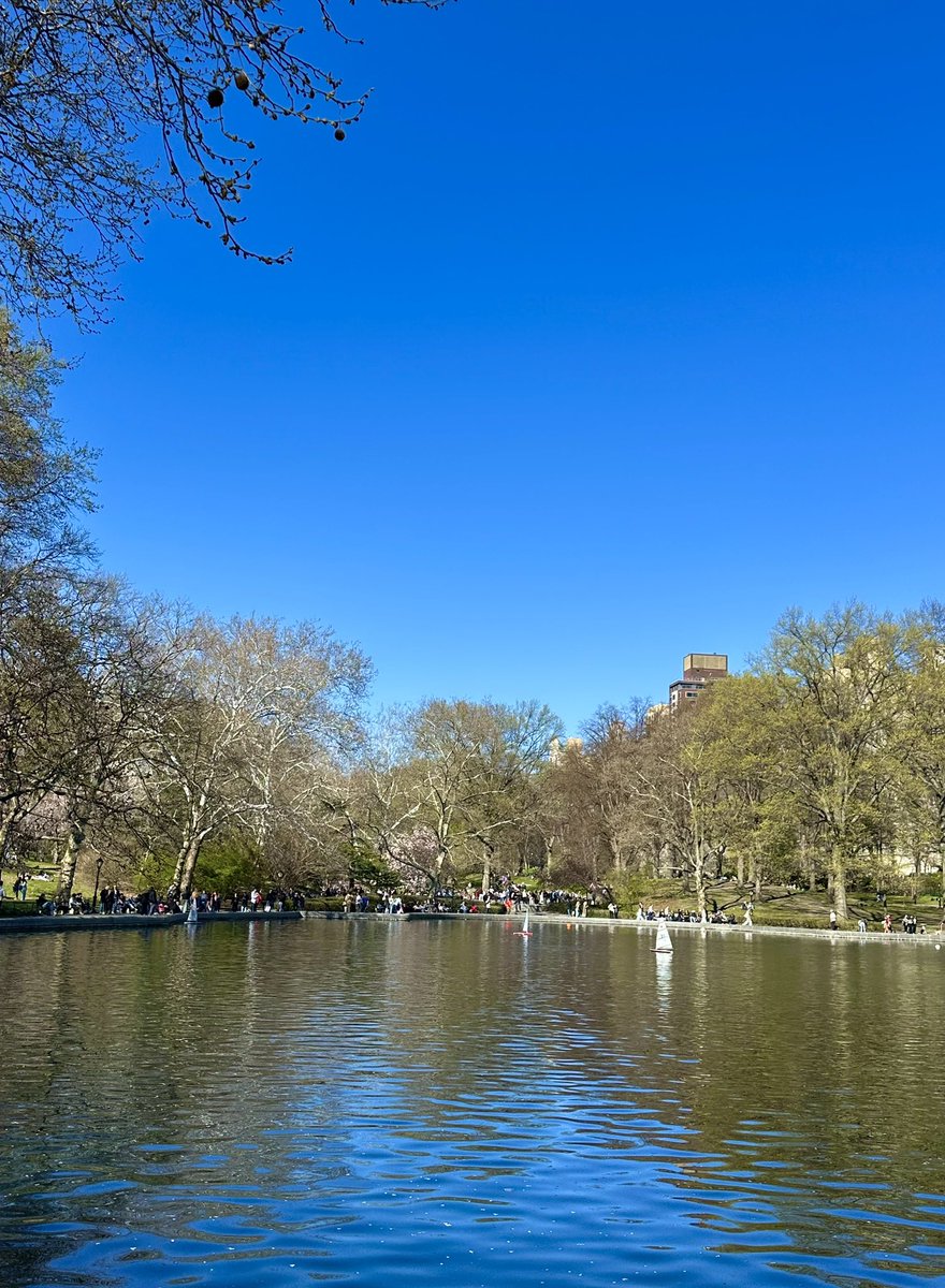 sonisfood's tweet image. Gorgeous day in Central Park #nyc