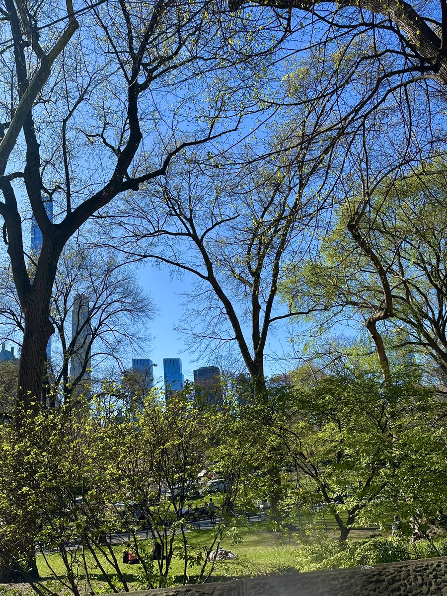 sonisfood's tweet image. Gorgeous day in Central Park #nyc
