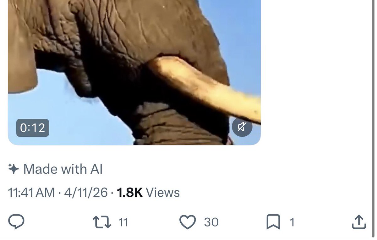 No Filter tweet media