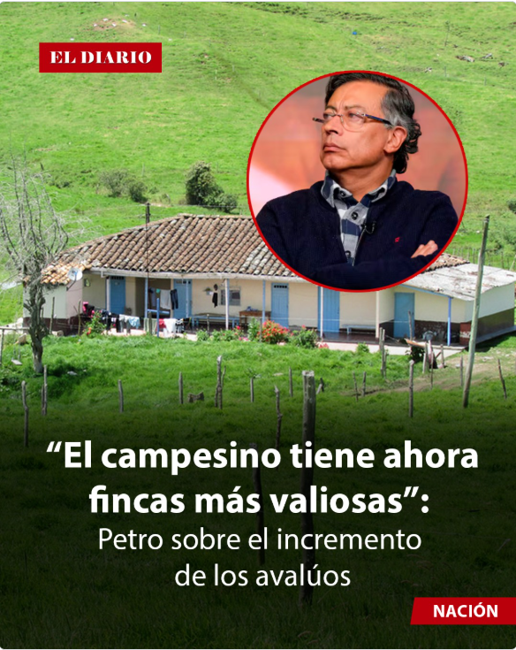 FERGIRALDO® tweet media