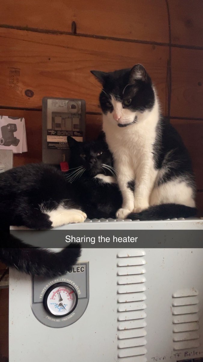 Two brothers broing out