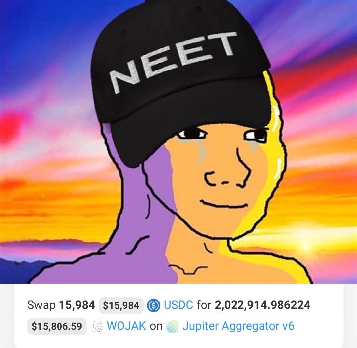 BOMO 🐸 tweet media