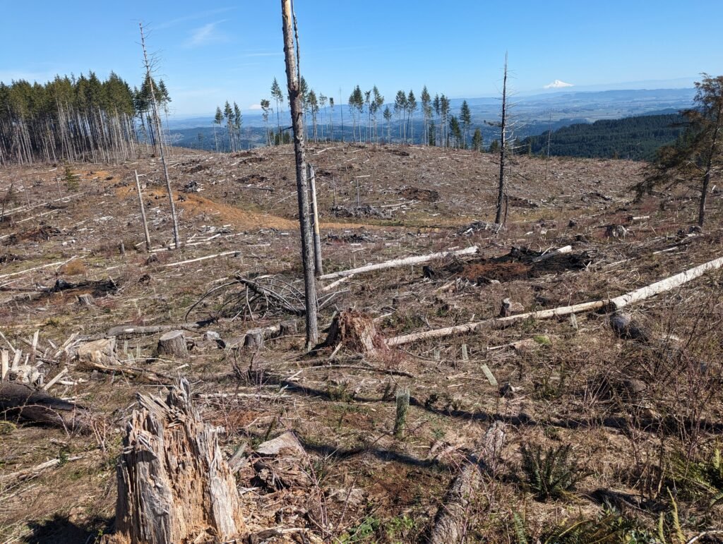 GO GREEN tweet media