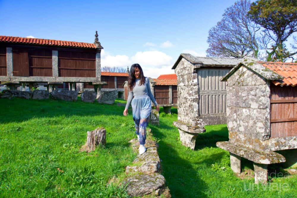 Diego Bernal tweet media