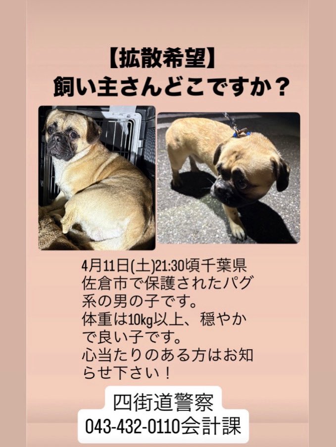 なおさん tweet media