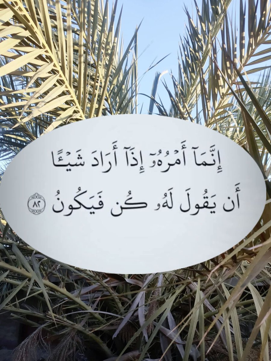 عماد القاسمي (ارح قلبك بالقرآن الكريم) tweet media