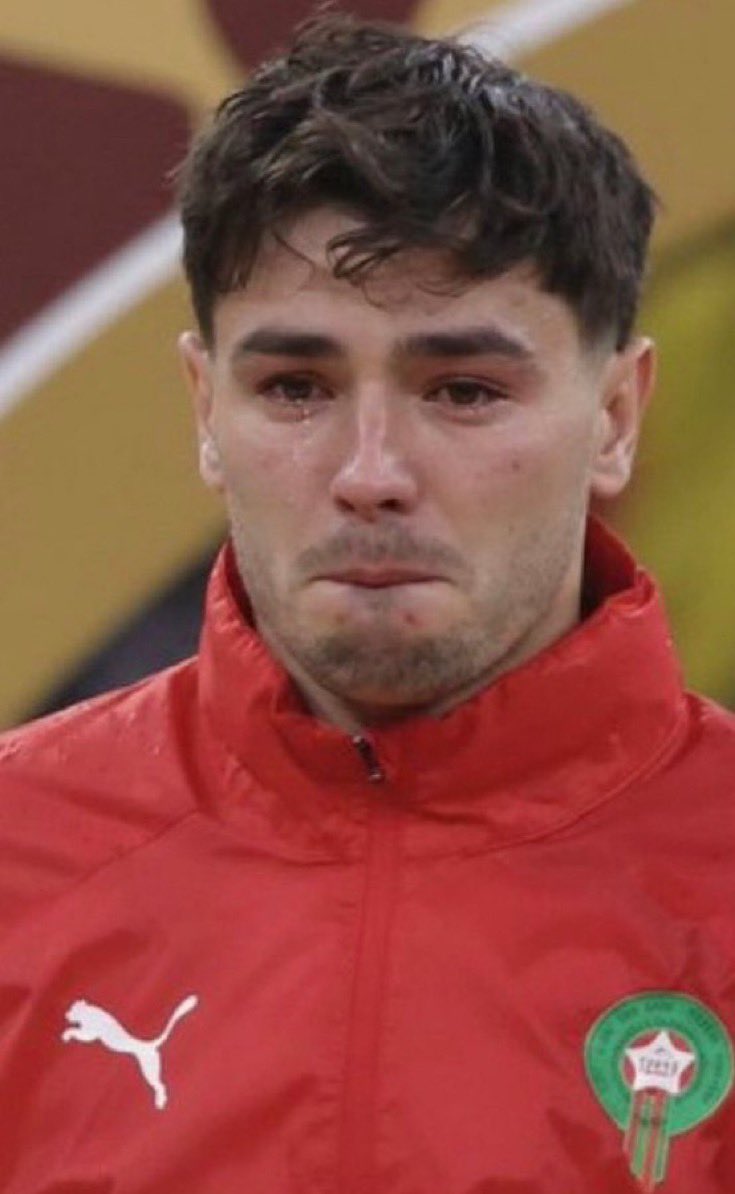 signale tefio tweet media