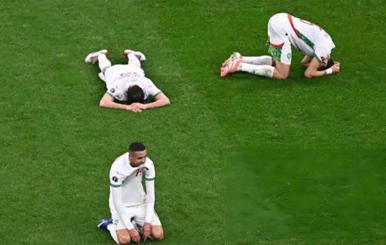 signale tefio tweet media