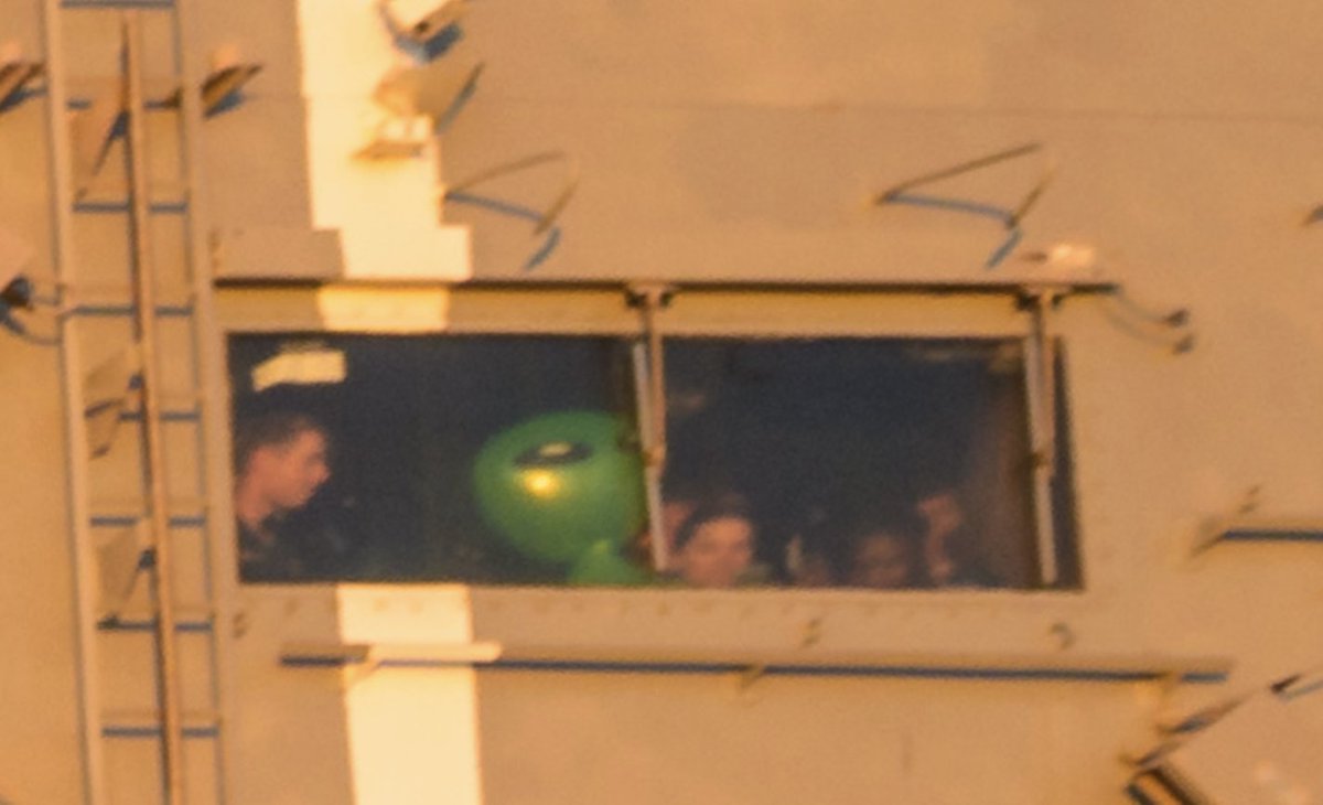 THE™ Jessi Davin tweet media