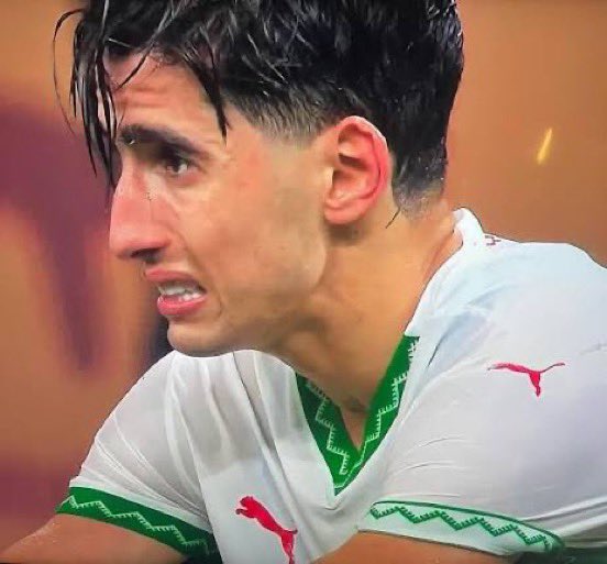 signale tefio tweet media