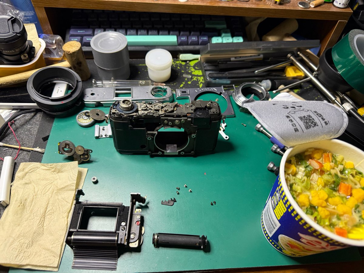 NekoKage📸 tweet media