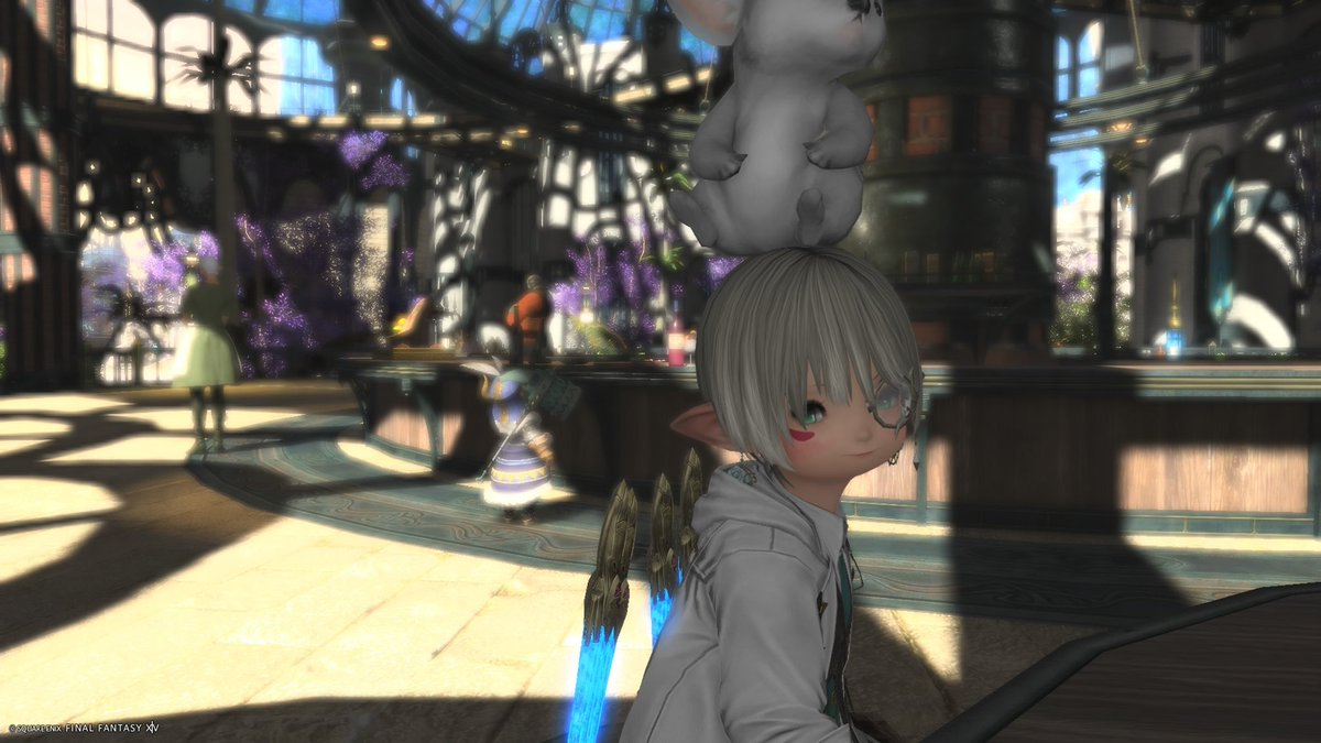 ブラウニー &こあら@コンビVtuber tweet media