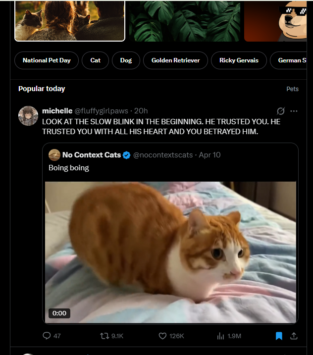 stepgain tweet media