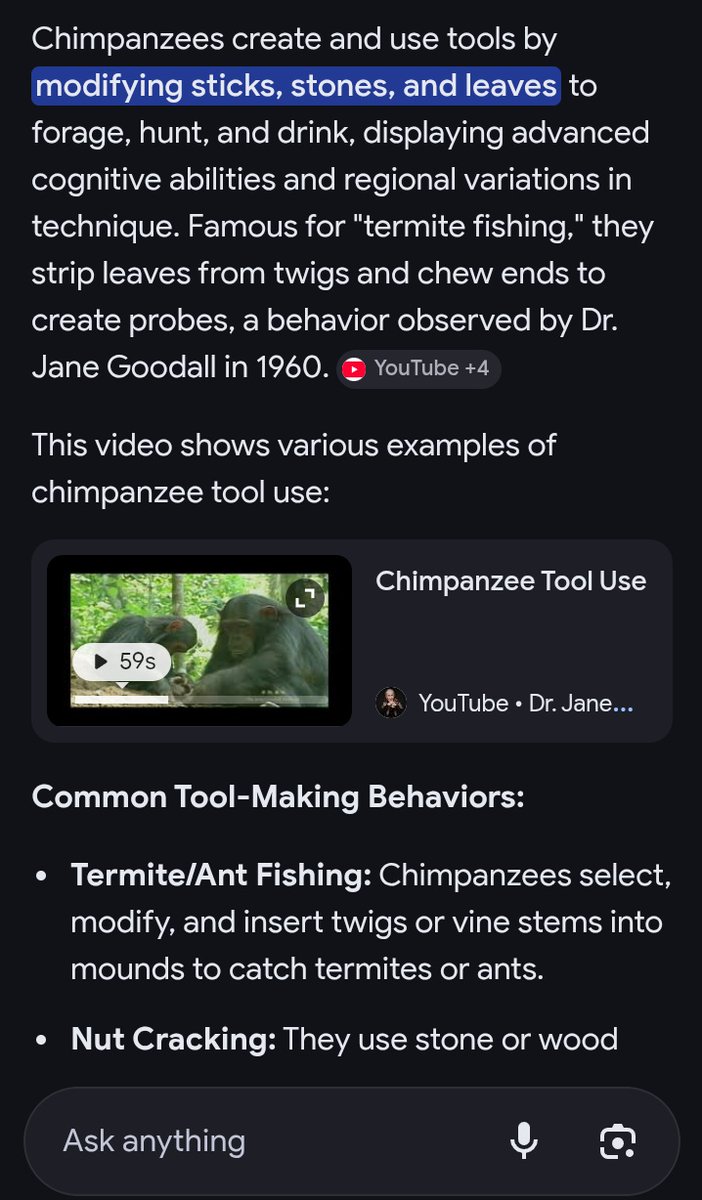 Mavulane🇿🇦 tweet media