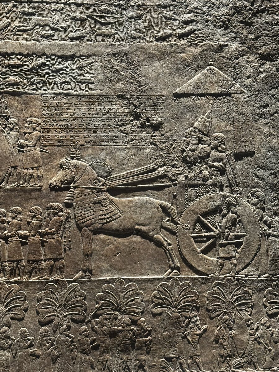 LaBolcheviqueEnamorada tweet media