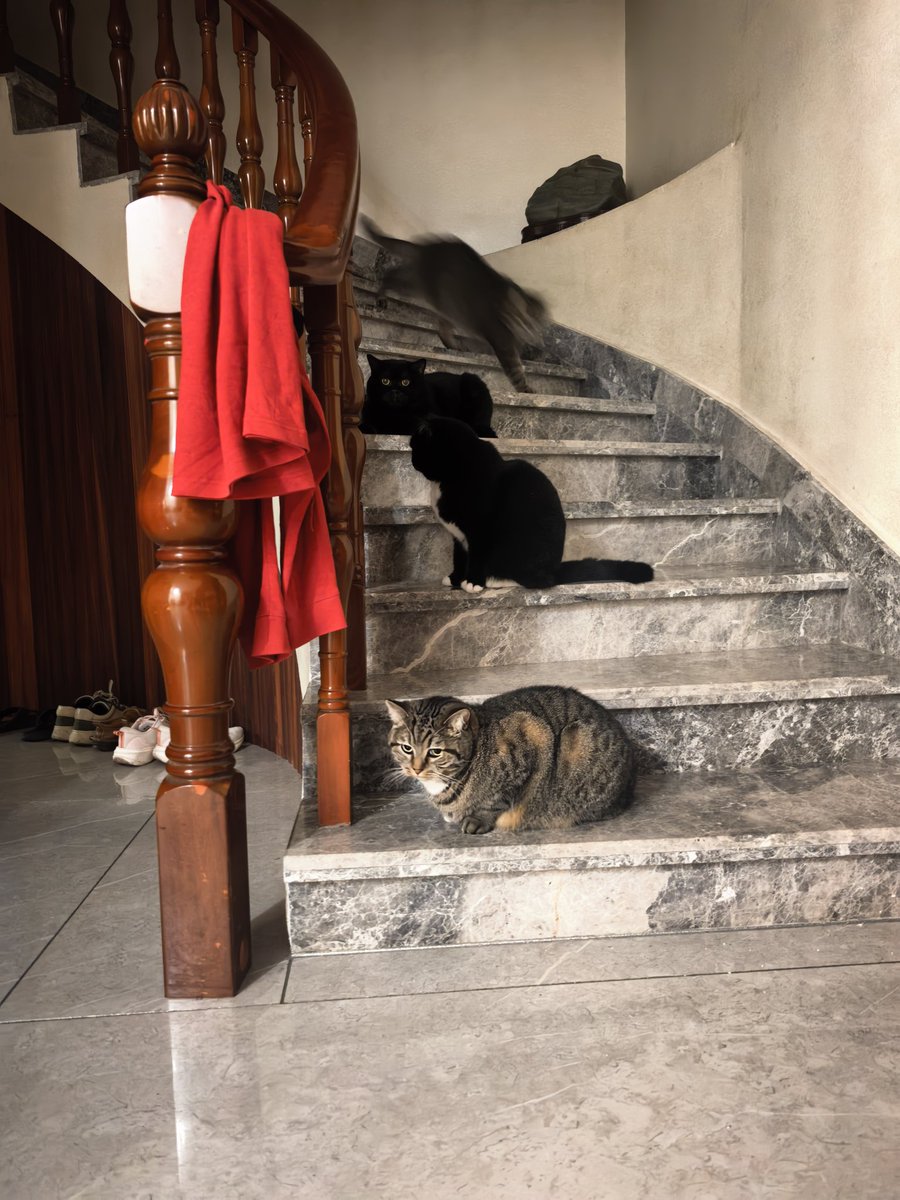 椰子公爵🥥 tweet media