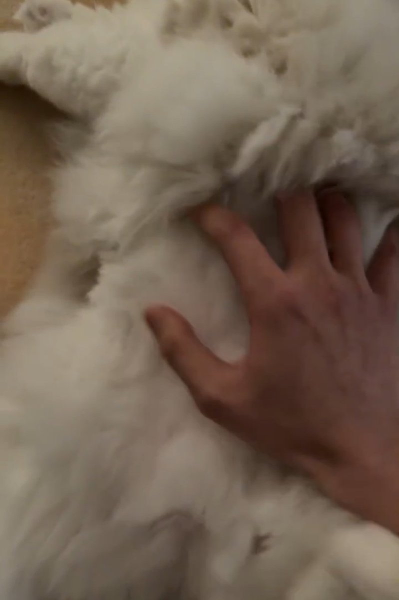 와 잠만 남자손 개설렘