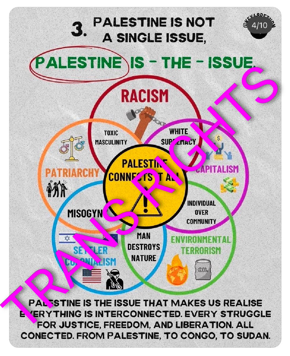 Emma Dolan tweet media