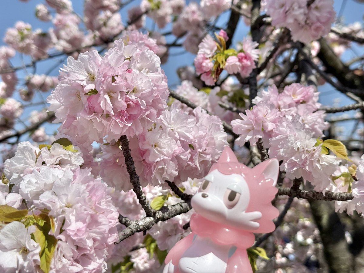 らずり tweet media