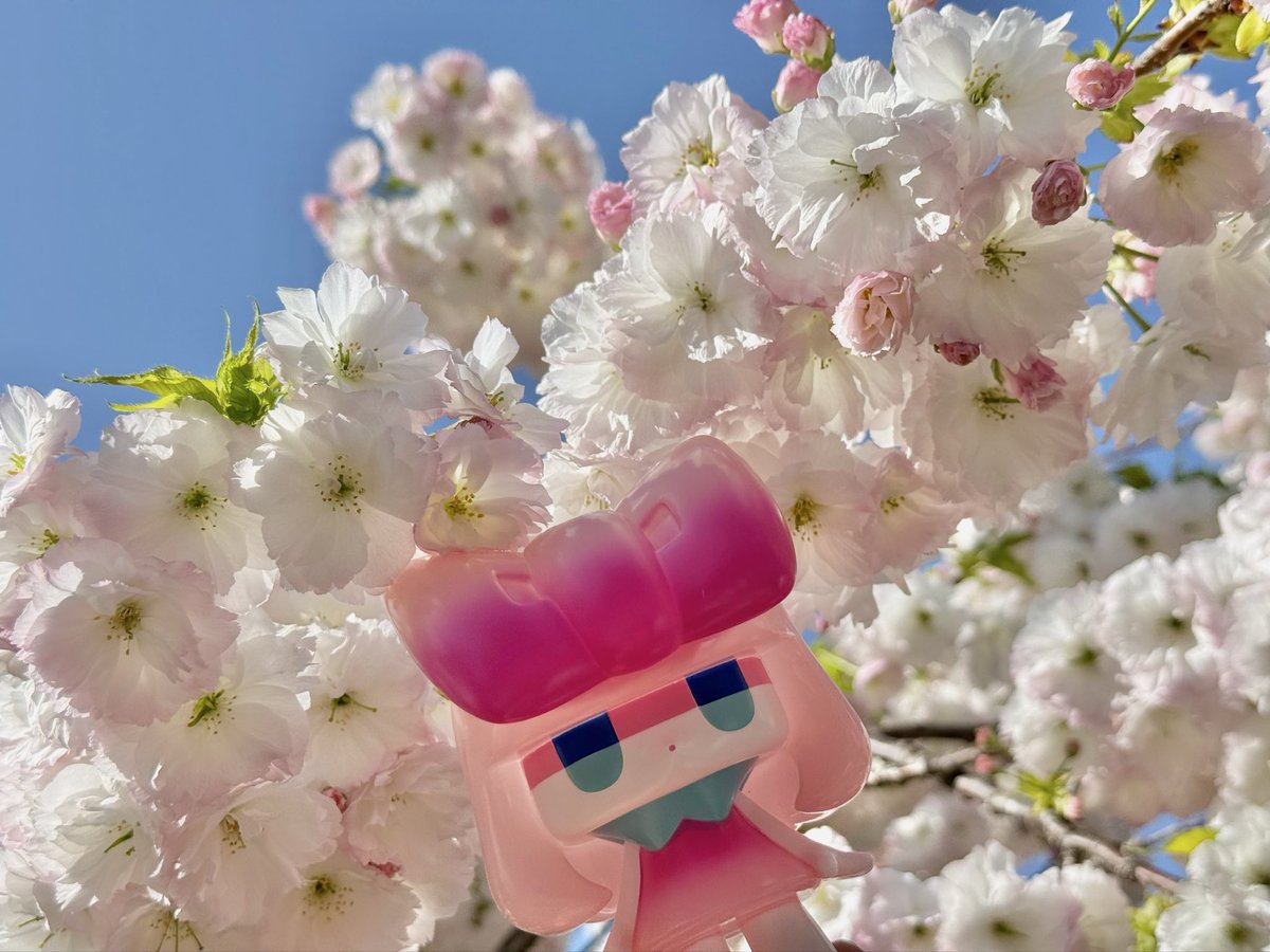 らずり tweet media