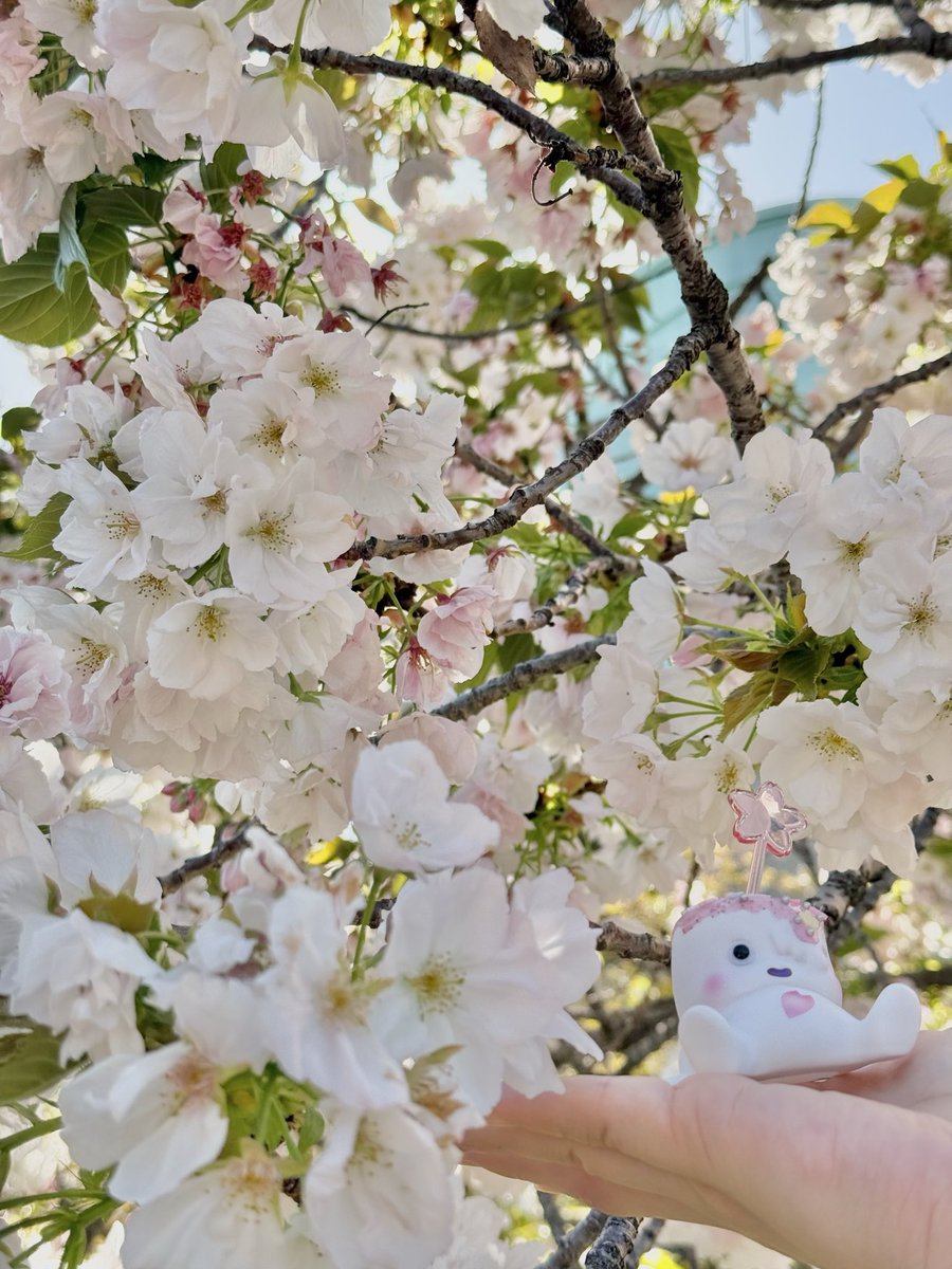 らずり tweet media