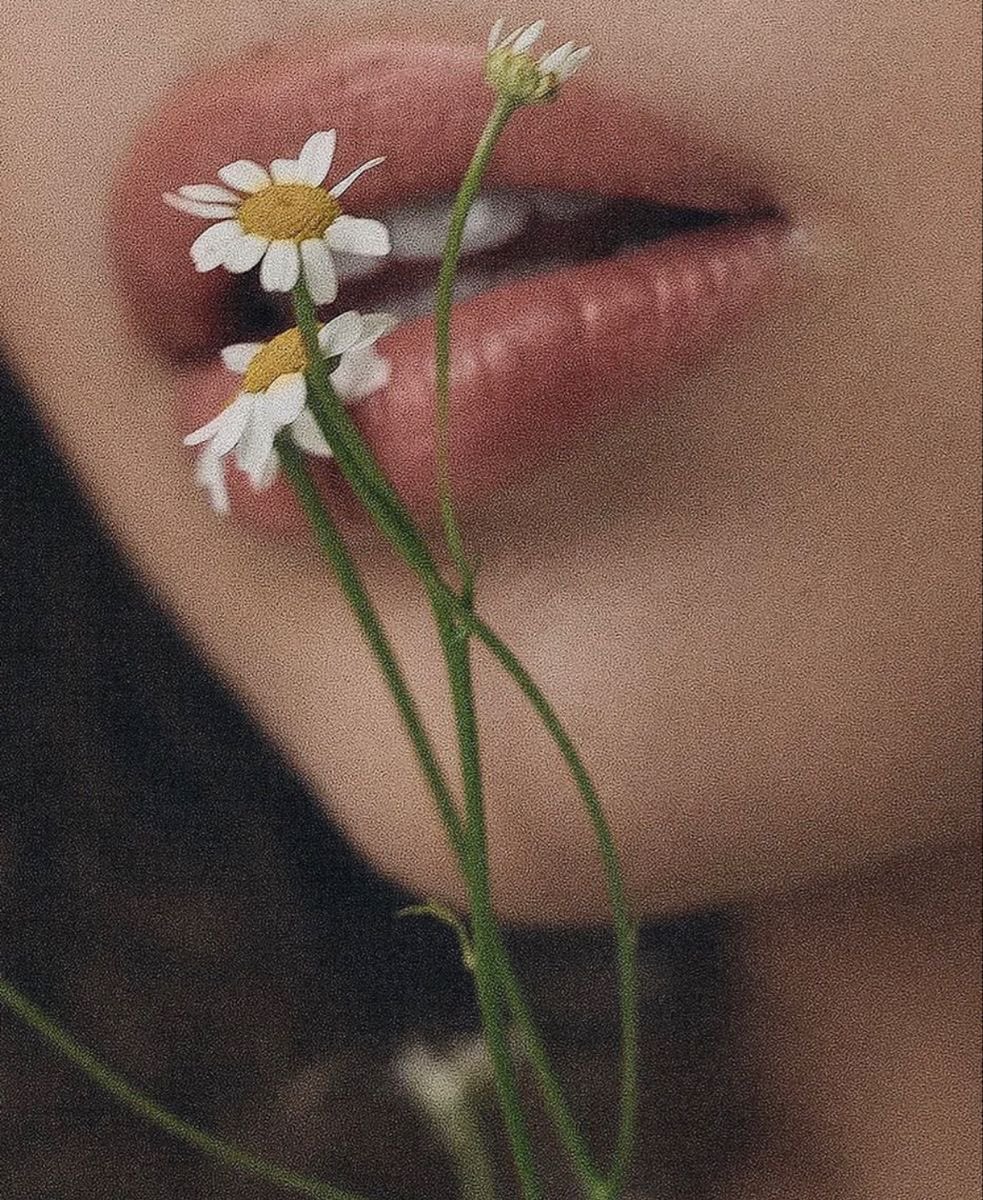 soul of old times tweet media