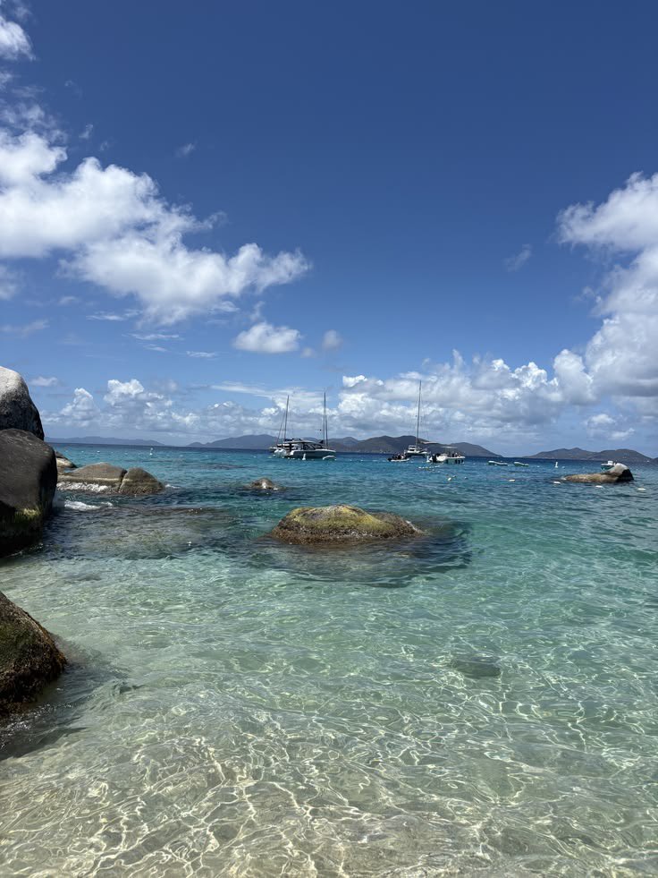 gremmie ˚₊‧⁺˖ gen dgaf tweet media