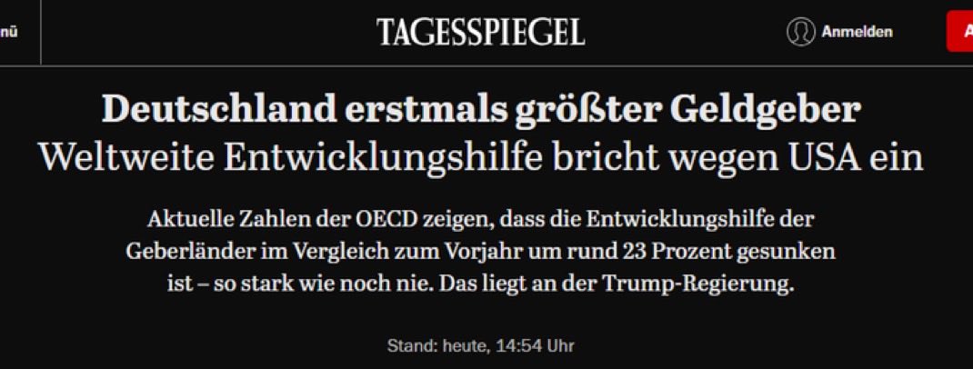 René Springer tweet media