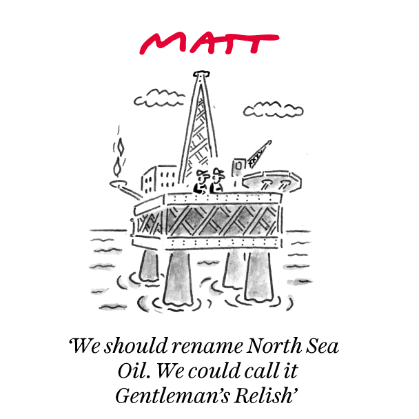 Matt Cartoons tweet media