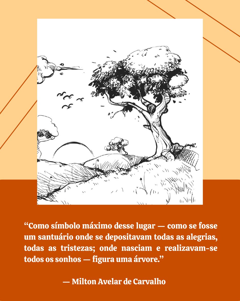 GuaraBooks's tweet photo. "A Gameleira", autobiografia por Milton Avelar de Carvalho, terá sua pré-venda dia 13 de abril! Prepare-se para um resgate de memórias, com mudanças abruptas e laços intensos, que conquistará corações!

#EditoraGuaráBooks #Autobiografia #Livros #Publique #MiltonAvelardeCarvalho https://t.co/l7MgeZvjIJ