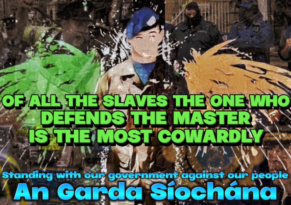 Warriors Of Ireland tweet media