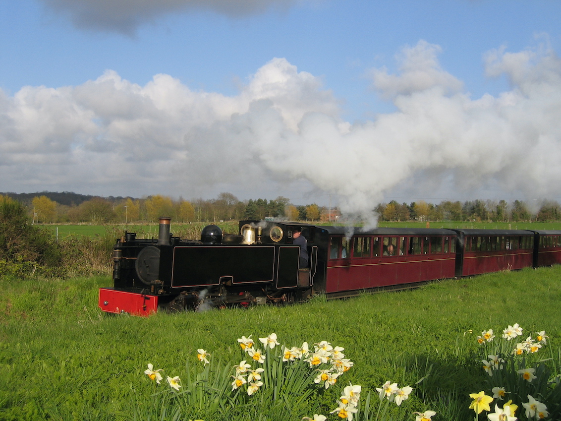 All Things Norfolk tweet media