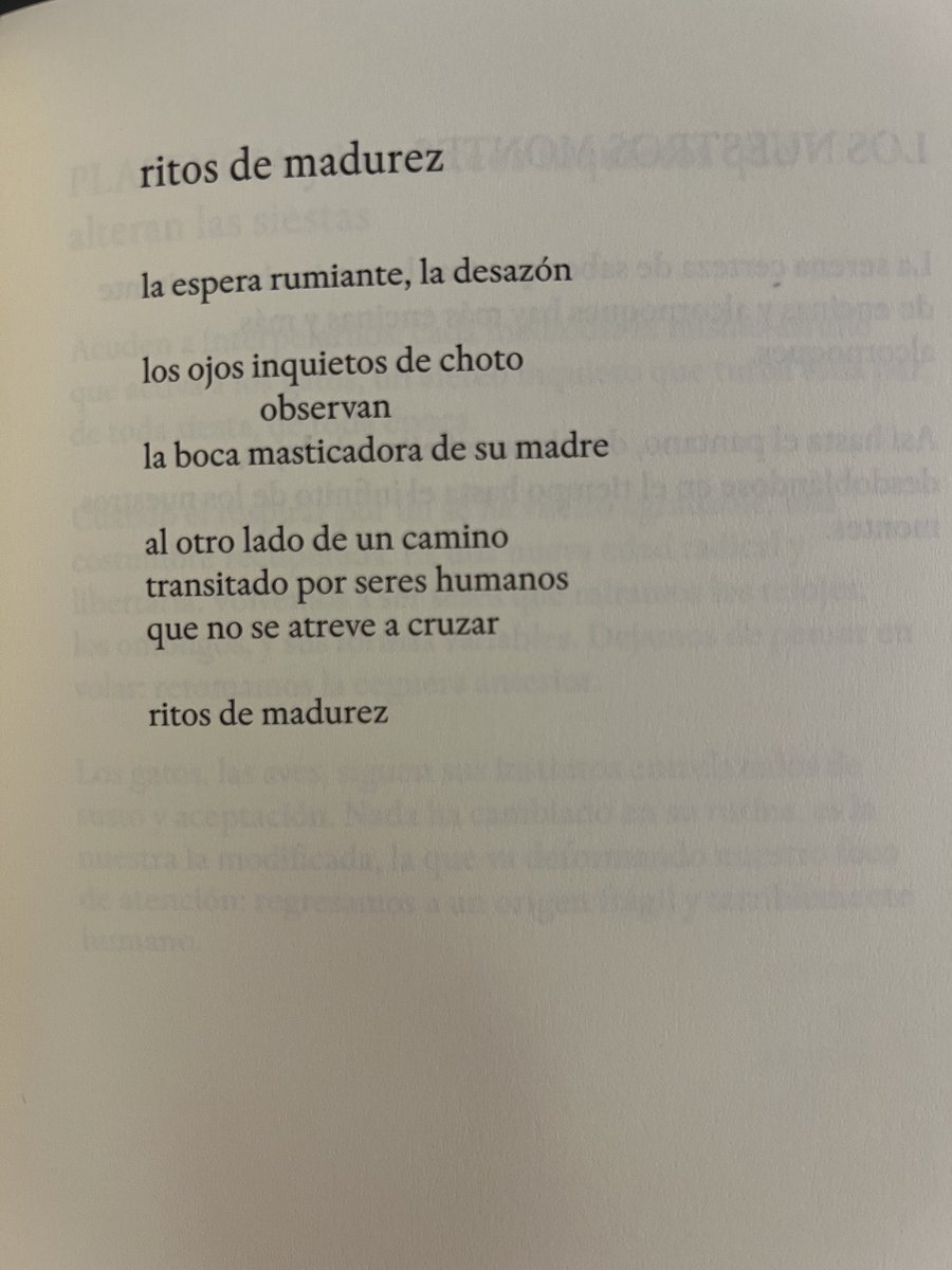 Samantha Sánchez tweet media