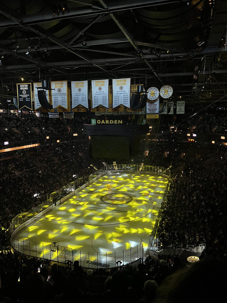 Let’s go Bruins 🐻