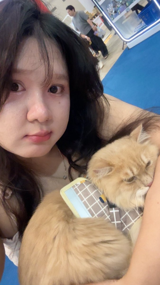 permenctelobeli's tweet photo. me + moi @paw expo🐱 https://t.co/MkemrtWF5W