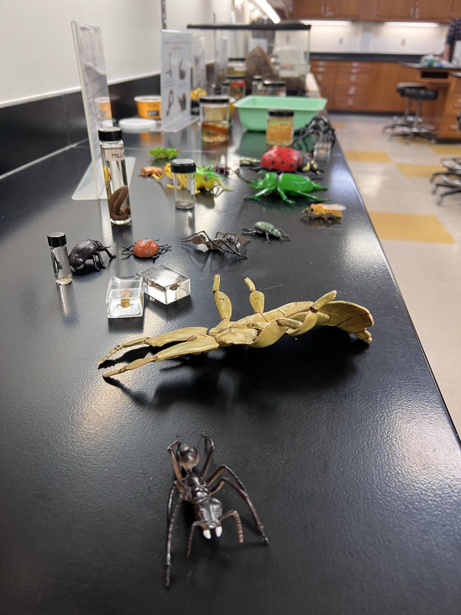 NESciFest's tweet photo. From 11am-3pm today stop by @mccneb (South Campus) for lots of hands-on science fun! https://t.co/HiNIcoEluA