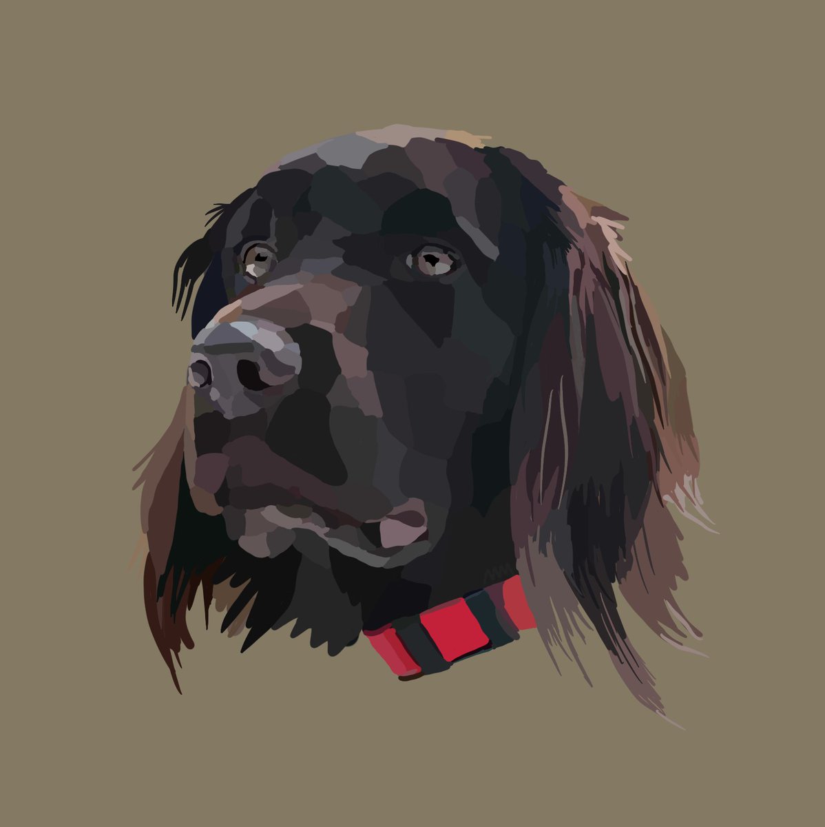 bauermill's tweet photo. Gotta catch up with some of my portraits here on X. Here's a Small Munsterlander I did for a Facebook follower! https://t.co/msqZZmY1Gs
