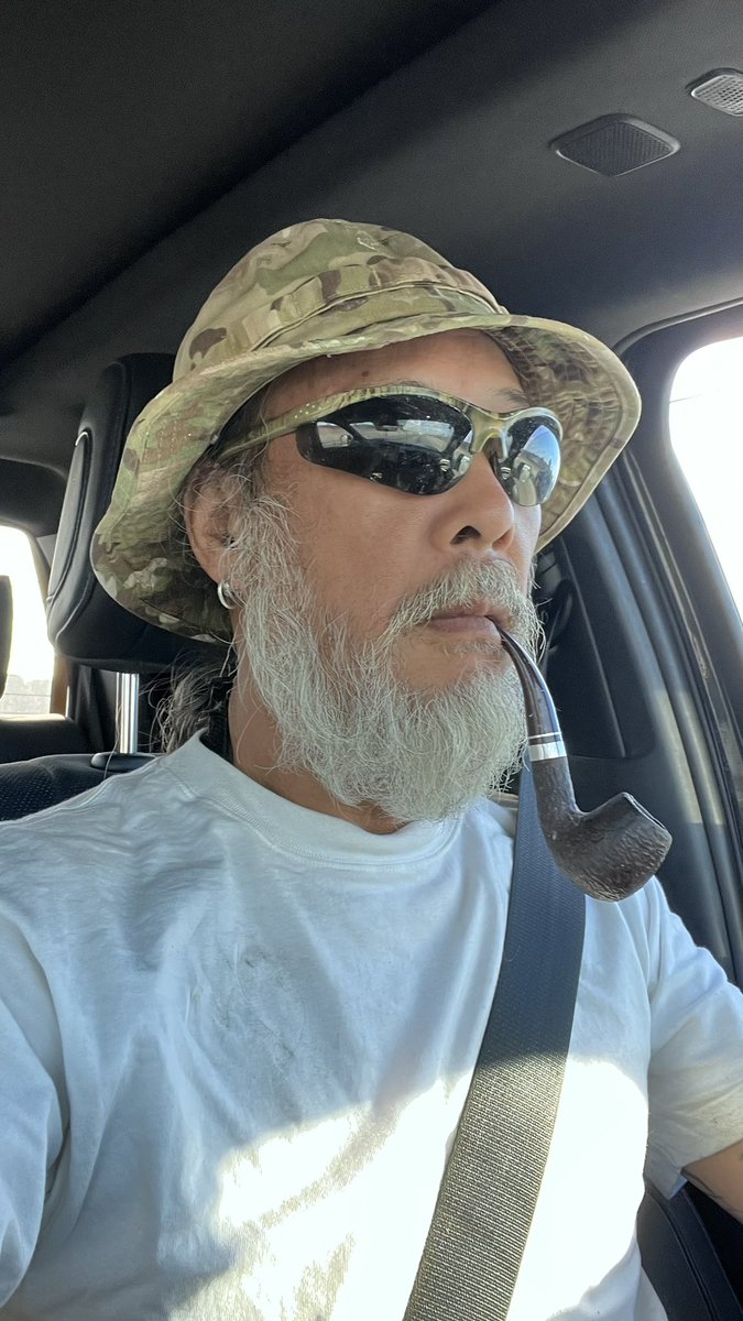 狐魂野魅 tweet media