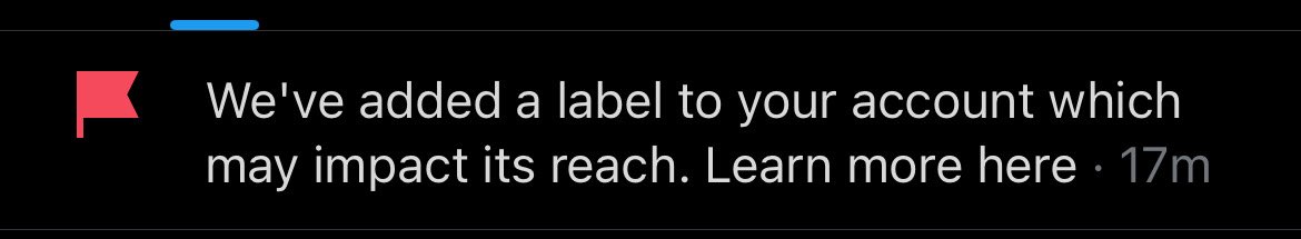 june🍊 tweet media