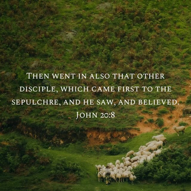 Scott Swanson tweet media