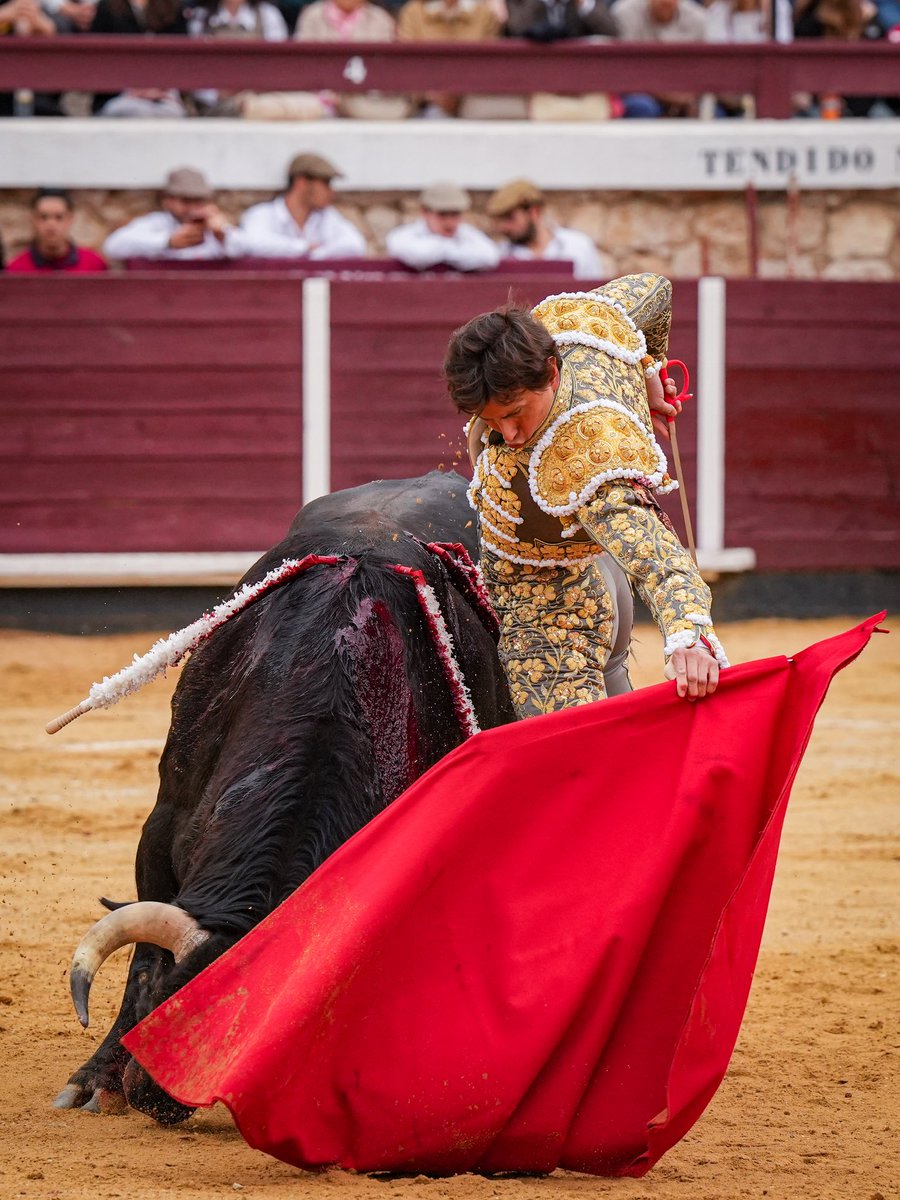 RocaRey's tweet photo. 1️⃣ | ¡OREJA en el primero!

Gran recibo capotero a la veronica al tercero bis que levantaron los “olés” de la plaza. Faena de mucho poder ante un tío que había que hacerle las cosas muy bien.

Estocada casi entera que hace cortar el primer apéndice https://t.co/t9f4cYn2wc