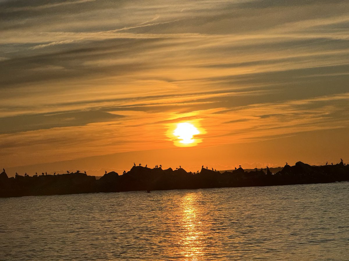 Monte Cristo tweet media