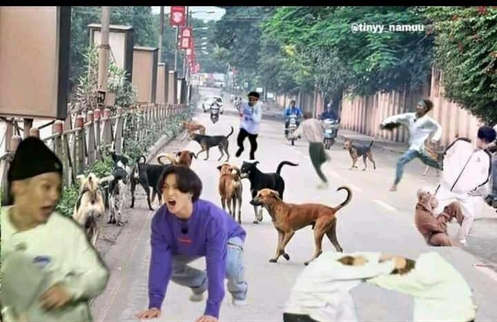 ☆~LynMonster~☆ tweet media