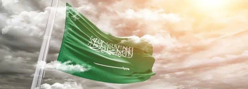 ♓️💙💚🇸🇦 tweet media