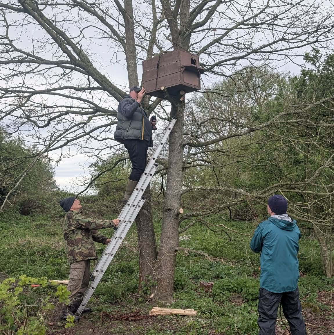 Simon Rose tweet media