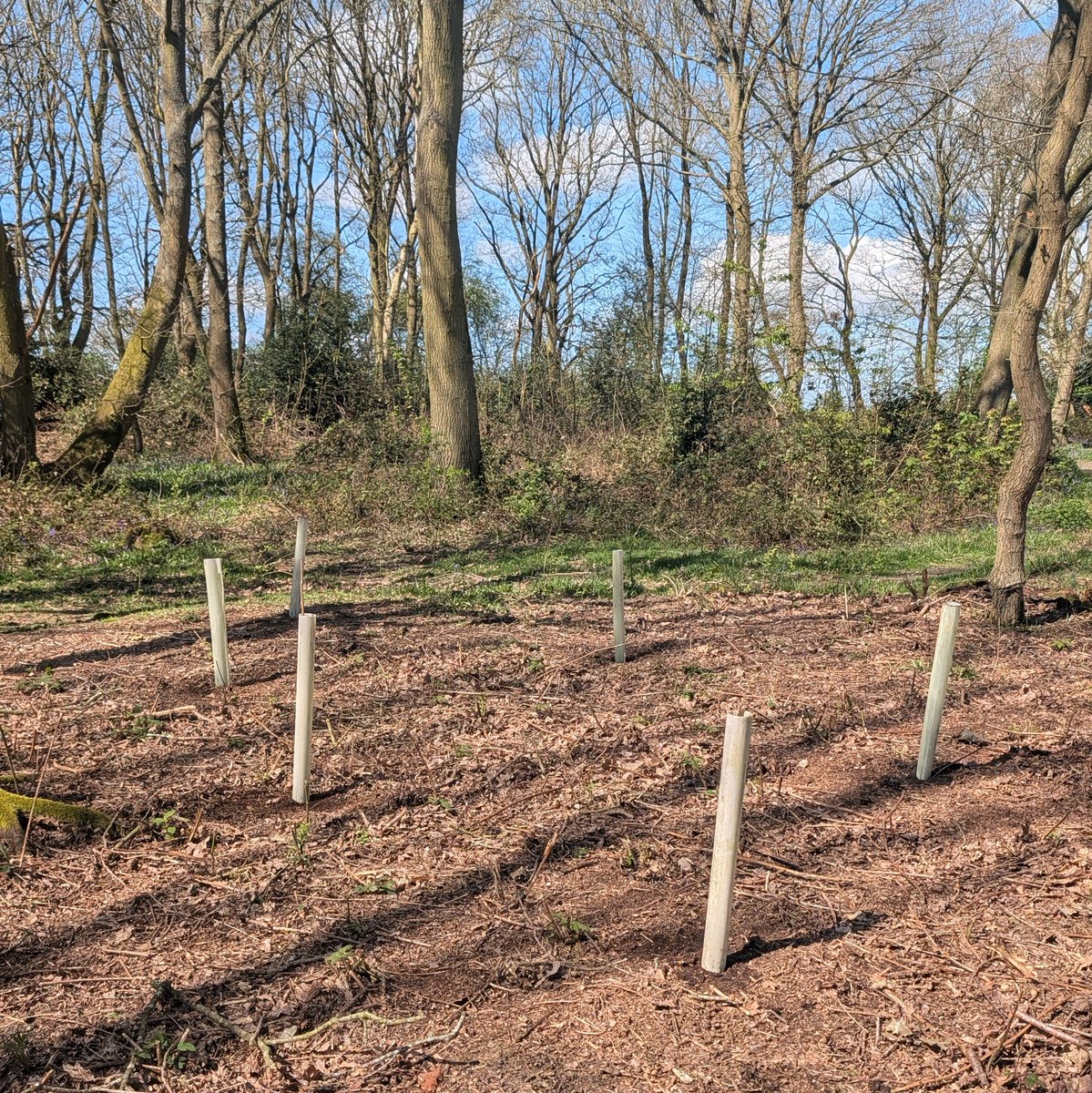 Simon Rose tweet media