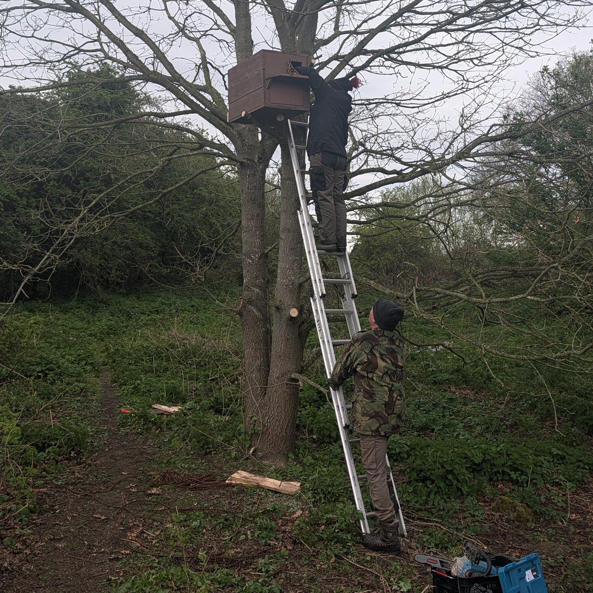 Simon Rose tweet media