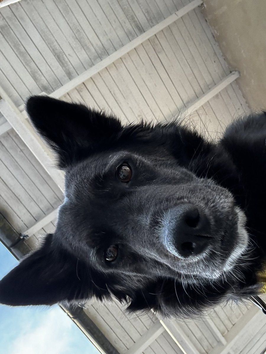 СОЛЯ tweet media