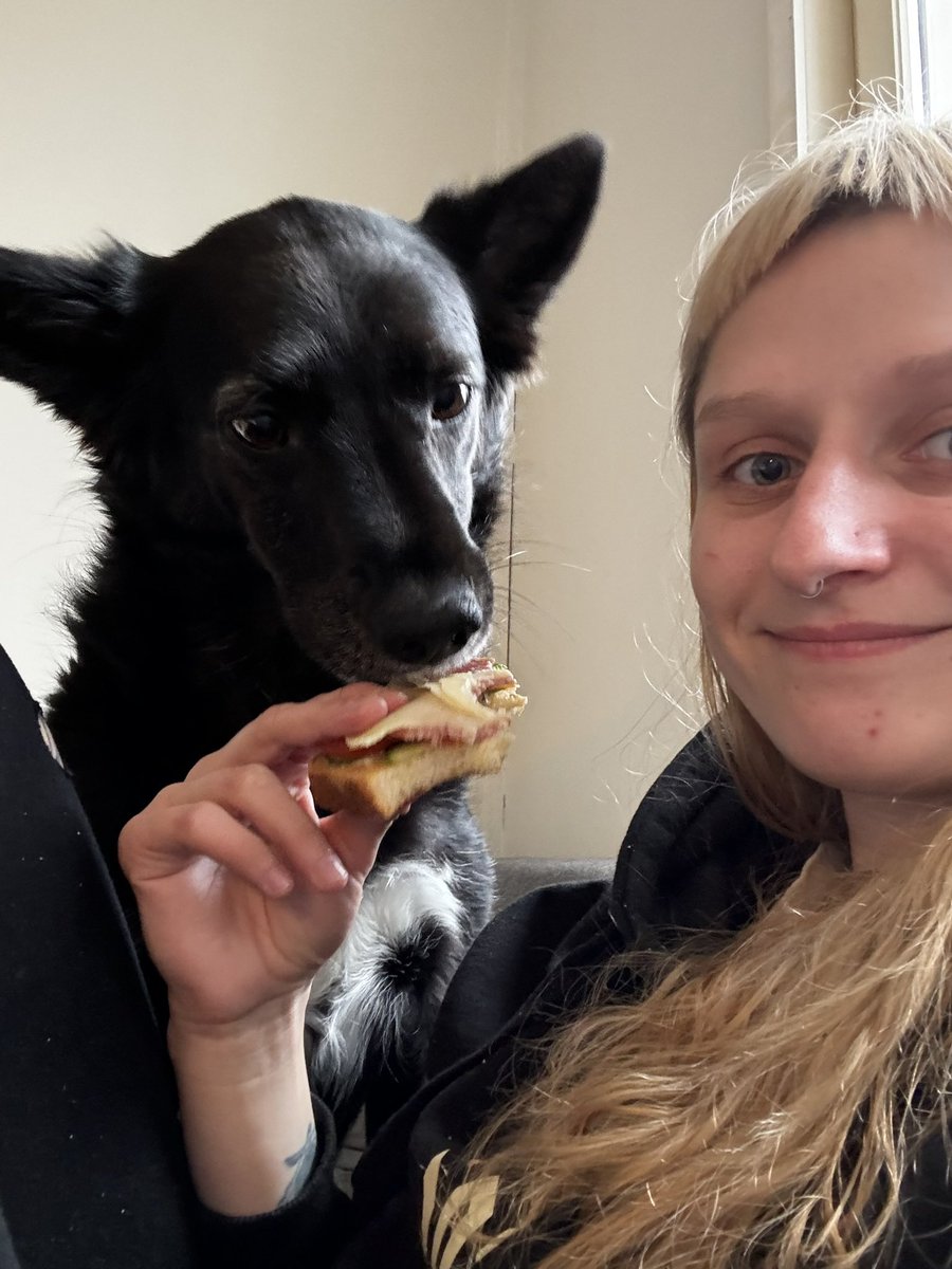 СОЛЯ tweet media